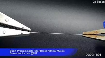 MIT研發(fā)“人造肌肉纖維” 生物基材料技術助推西部世界式超高仿真機器人成為現(xiàn)實