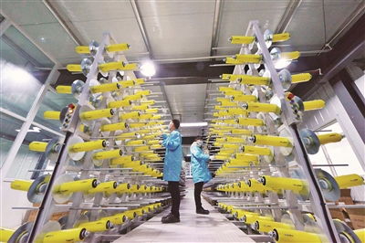 加速生物基材料技術研發(fā)與產業(yè)化，引領綠色新材料革命