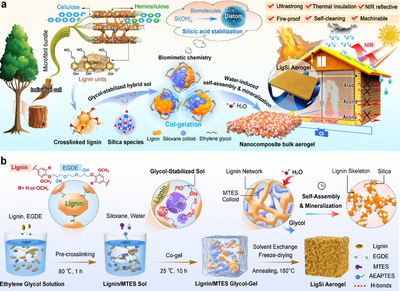 王清文教授團(tuán)隊(duì)在木質(zhì)素基功能材料領(lǐng)域取得新進(jìn)展，推動(dòng)生物基材料技術(shù)研發(fā)邁向新高度